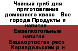 Чайный гриб для приготовления домашнего кваса - Все города Продукты и напитки » Безалкогольные напитки   . Башкортостан респ.,Караидельский р-н